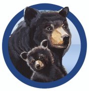Mommy Bear Media Mommy Bear Media One Year Blog Anniversary!! Check Out Our Sponsors