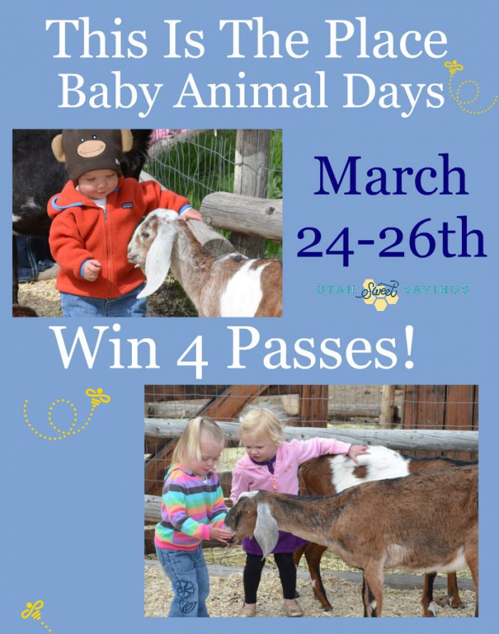 Giveaway Winner Announced! Baby Animal Days! Utah Sweet Savings