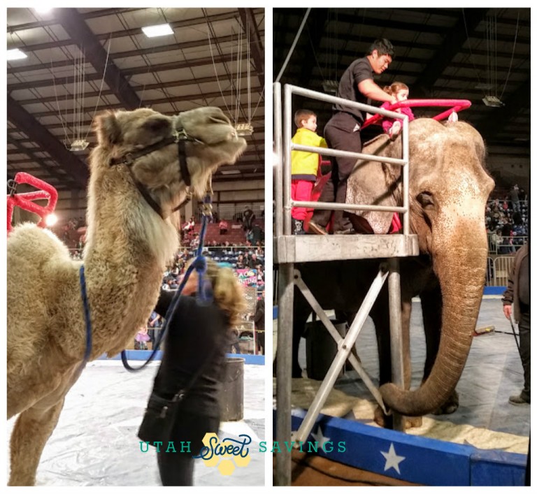 Jordan World Circus Review Utah Sweet Savings