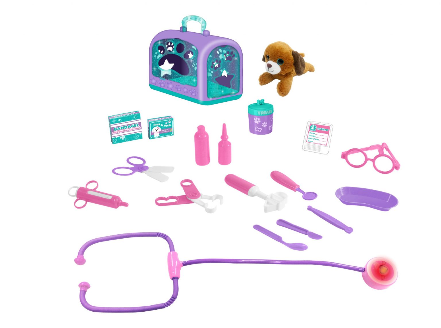 carry and care veterinary playset