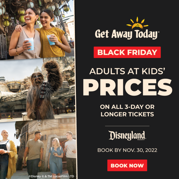 Disneyland Black Friday Tickets Adults at Kids’ Prices + Extra Night